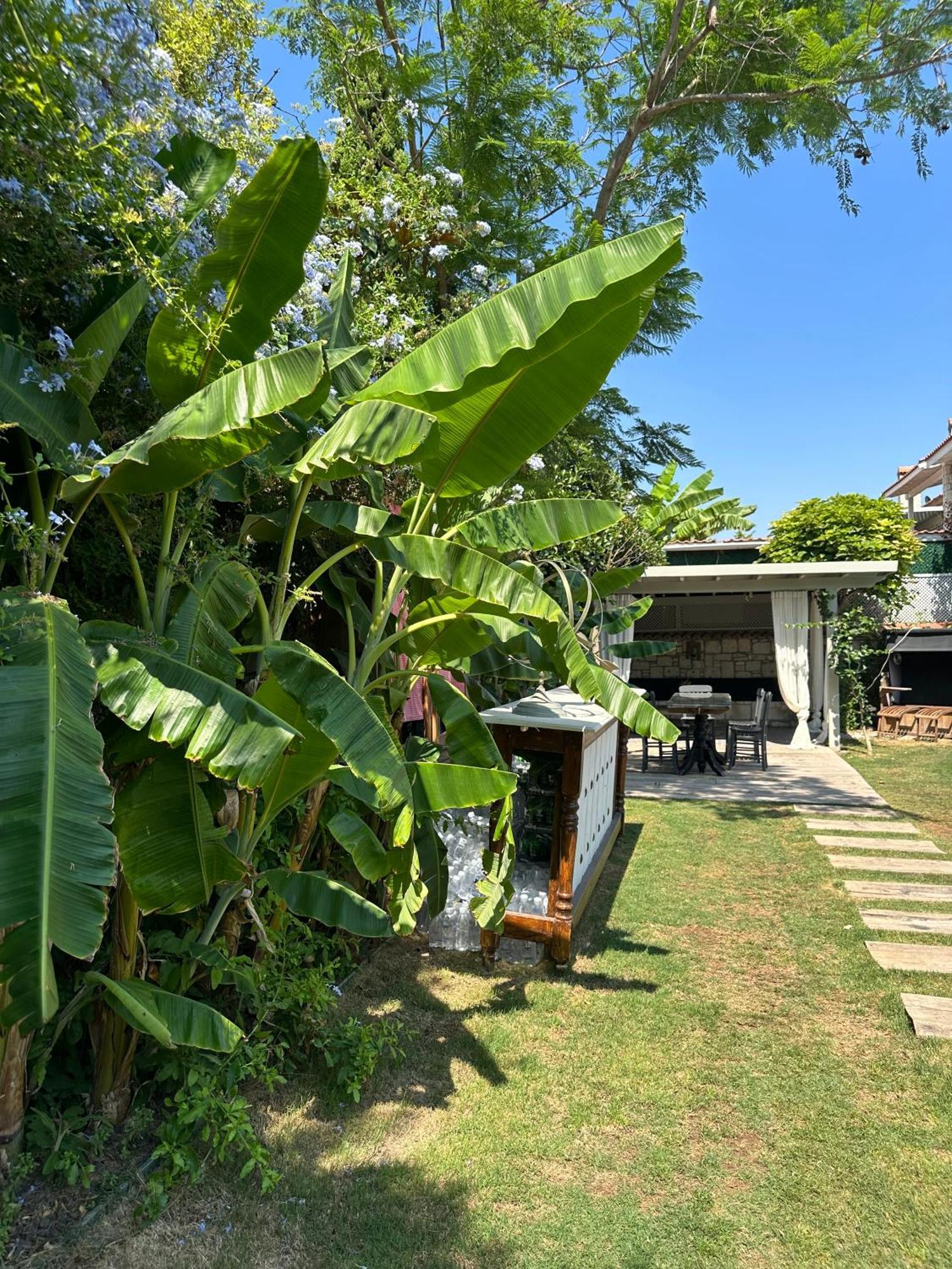 Argente Alacati (Adults Only) Luaran gambar